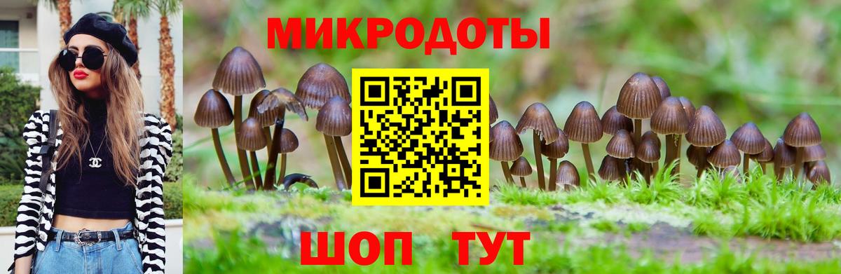 Псилоцибиновые грибы ЛСД Сердобск