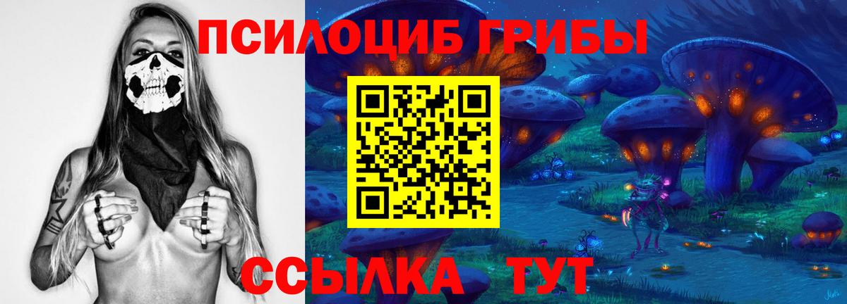 Галлюциногенные грибы мицелий  Псилоцибиновые грибы GOLDEN TEACHER  Сердобск  Вход с VPN 
